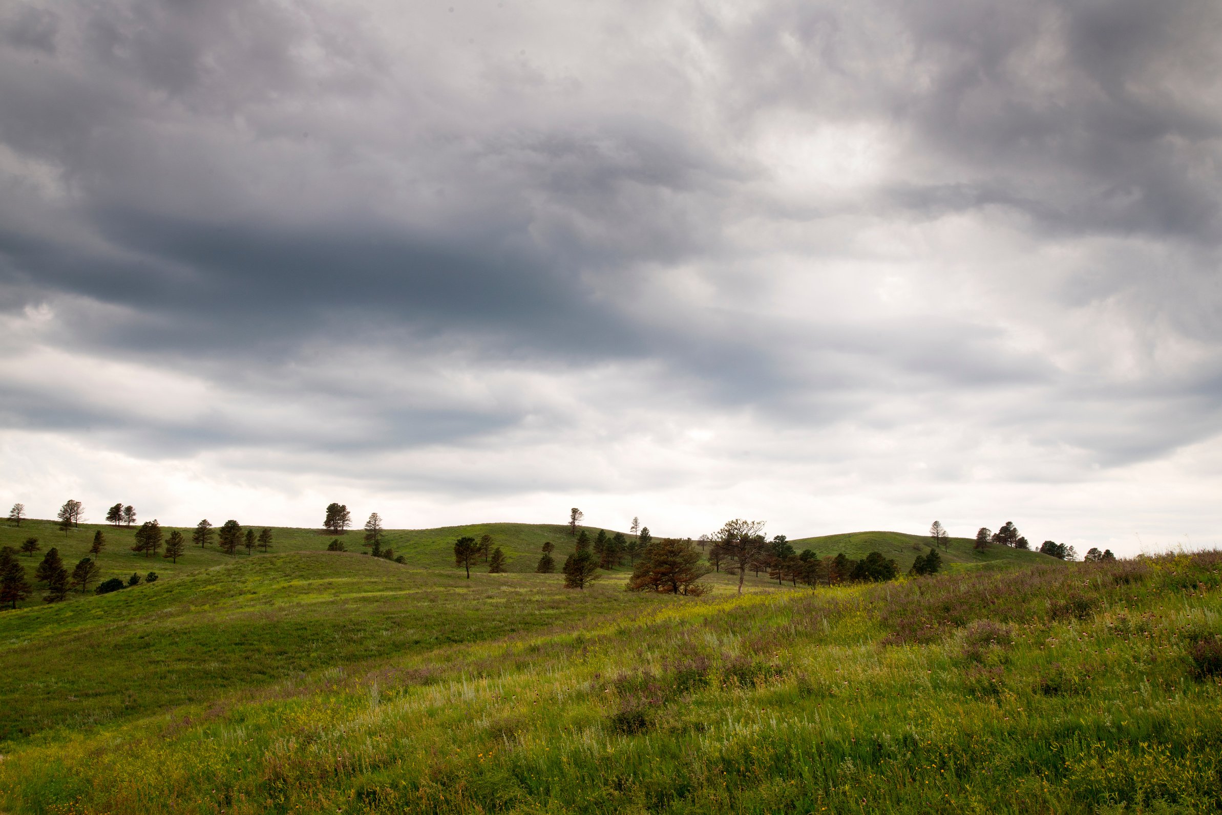 Black Hills South Dakota